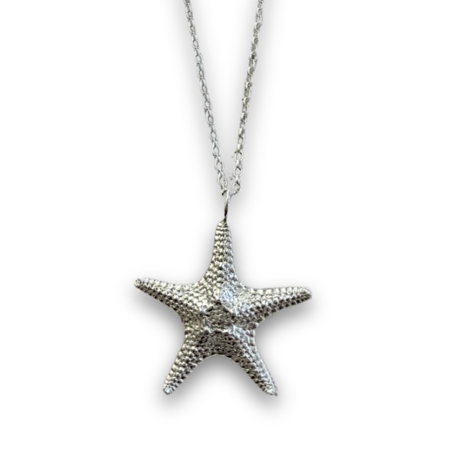 Coastal Bold Silver Starfish