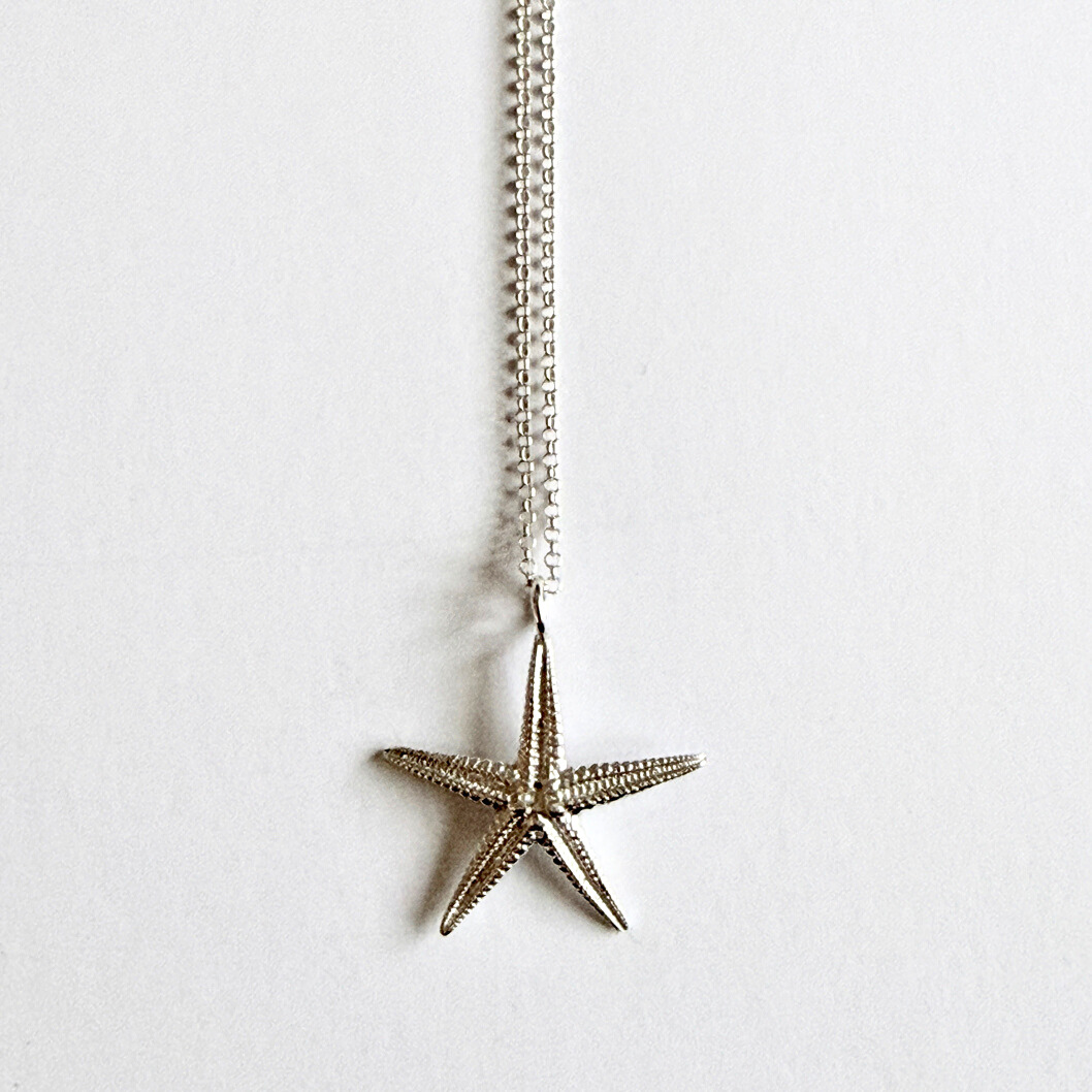 Sea Petal Silver Starfish